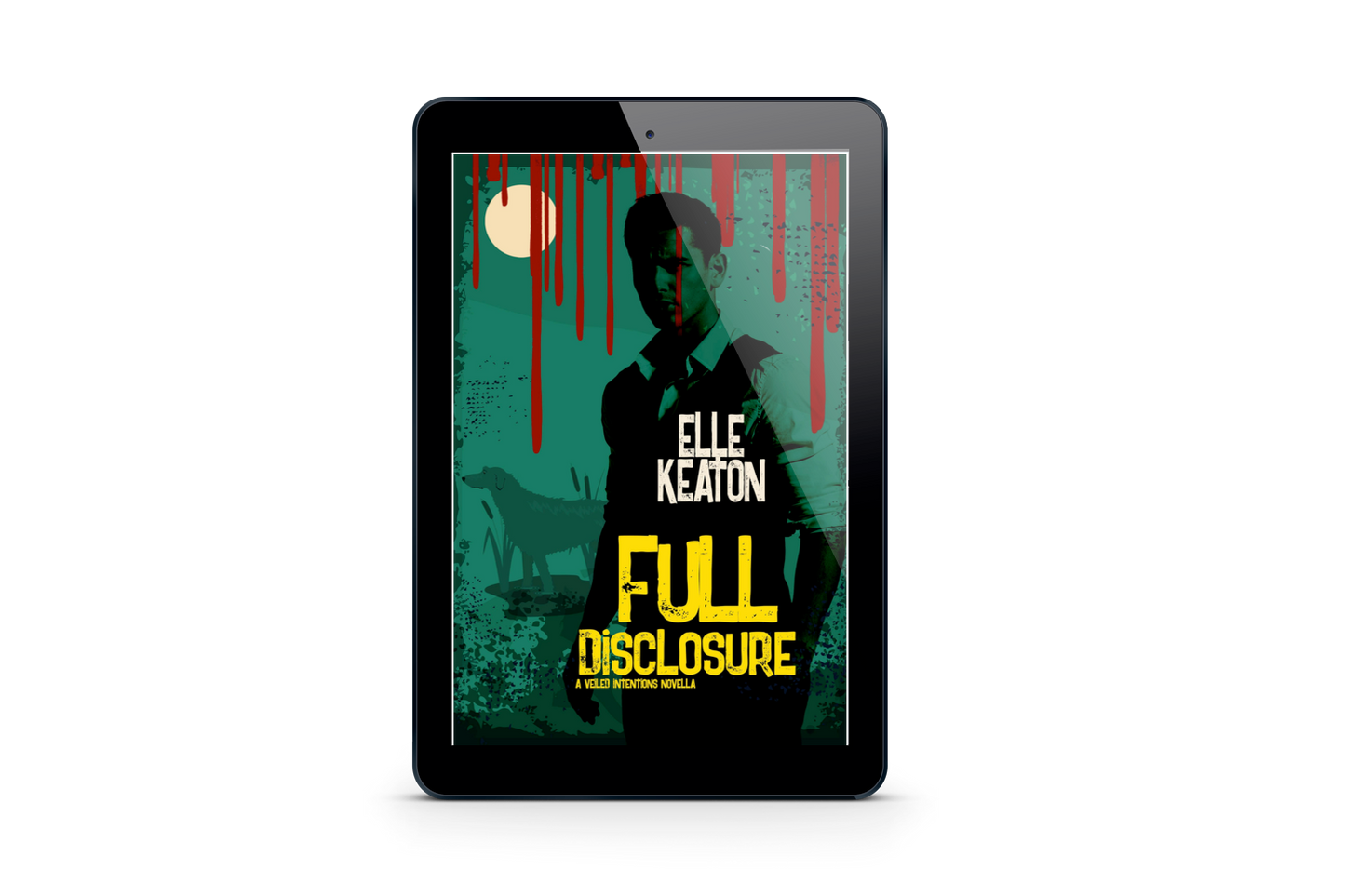 Full Disclosure - Veiled Intentions book 4