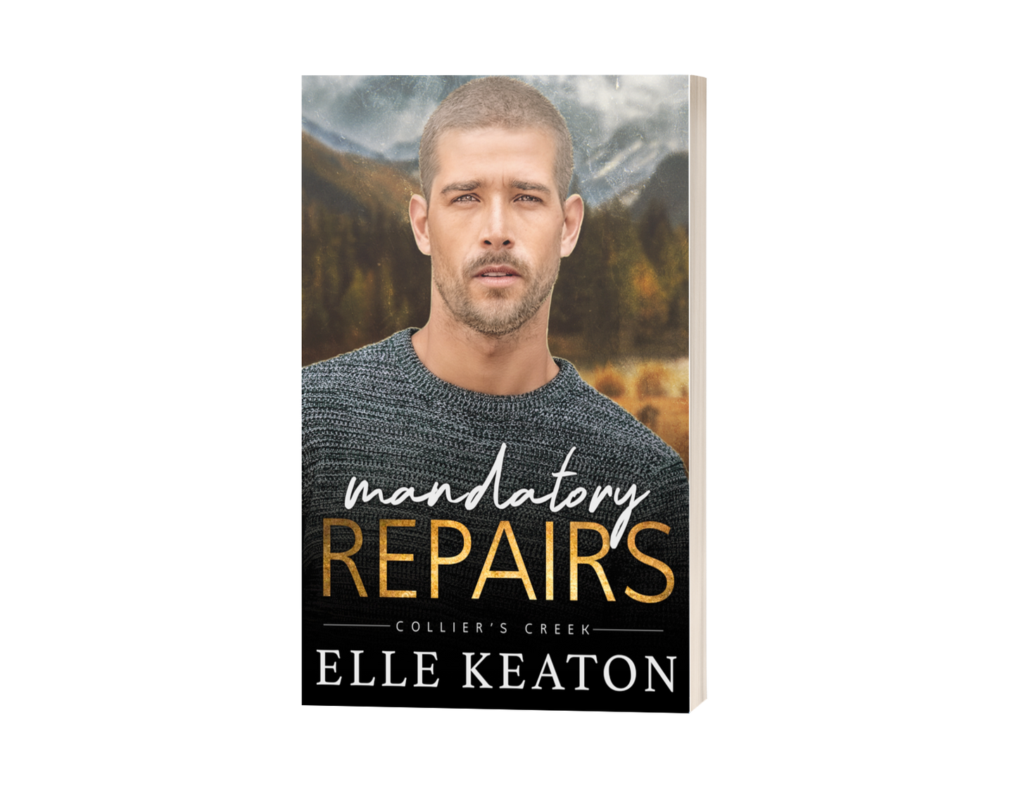 Mandatory Repairs - Reclaimed Hearts book 5. A novel following Max, Xavier's twin.