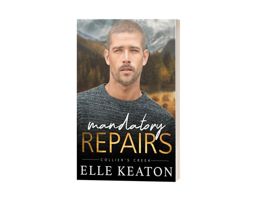 Mandatory Repairs - Reclaimed Hearts book 5. A novel following Max, Xavier's twin.